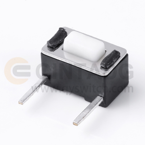 TC-00303.jpg